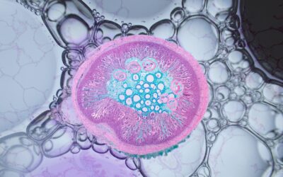 Les exosomes : la nouvelle révolution anti-âge pour une peau régénérée naturellement